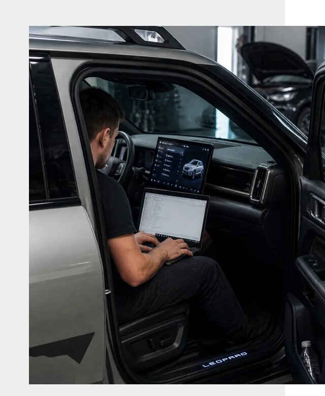 Русификация BYD Leopard 3 в Балтийске по цене от 20288 р. | ФастМобиль-Блт